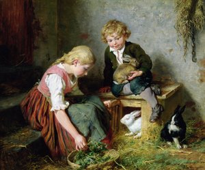 Fodring af kaninerne